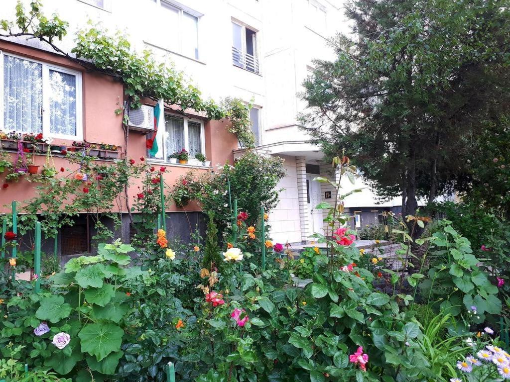 Homestay Tulips - Guest Close To The Airport, Free Street Parking *
