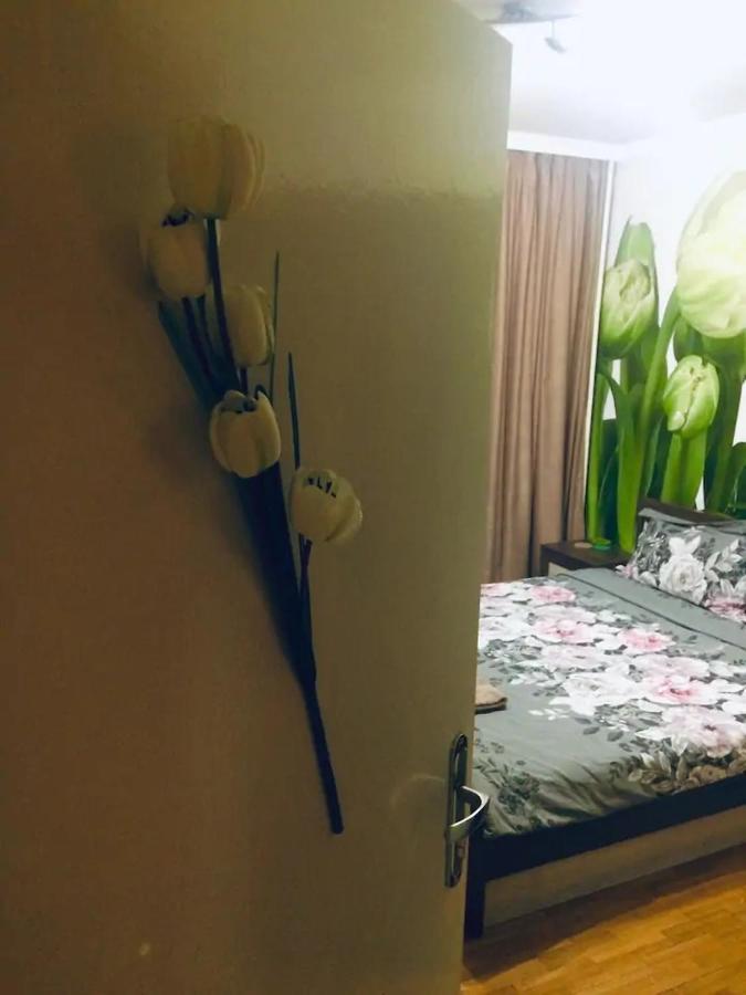 Tulips - For Overnight Travelers, Close To The Airport, Parking Gazde/Camere de închiriat Sofia