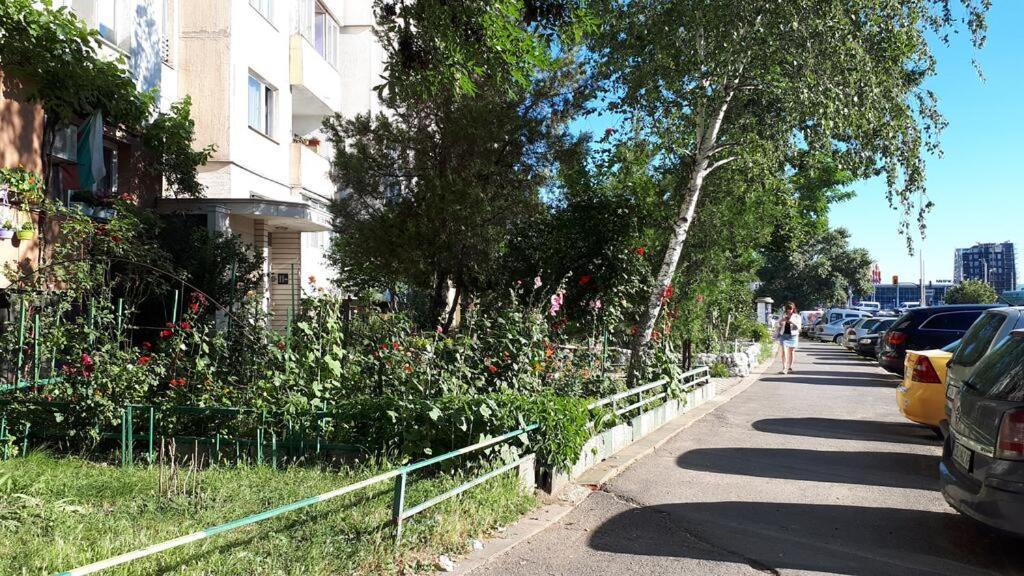 Gazde/Camere de închiriat Tulips - For Overnight Travelers, Close To The Airport, Parking Sofia
