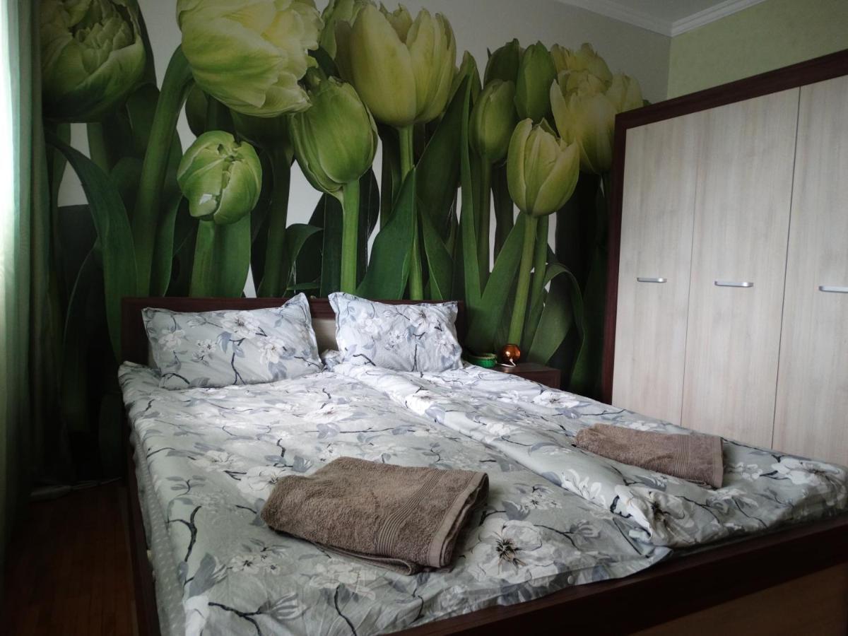 Tulips - For Overnight Travelers, Close To The Airport, Parking Gazde/Camere de închiriat